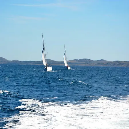 Blue Sali